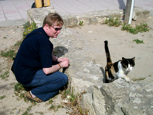 Catacomb-cat