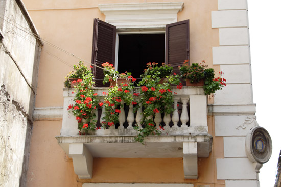 Balkon med blomster i Monti