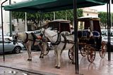 Horse carriages in Valletta.