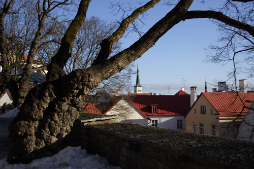 Udsigt over Tallinn fra en bastion nær Toompea