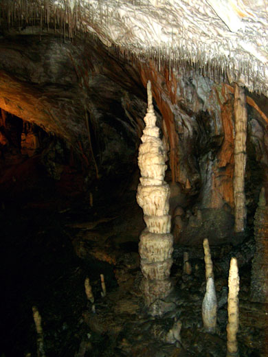 Drypsten i Postojna