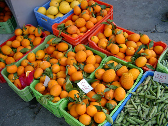 Oranges in Cyprus