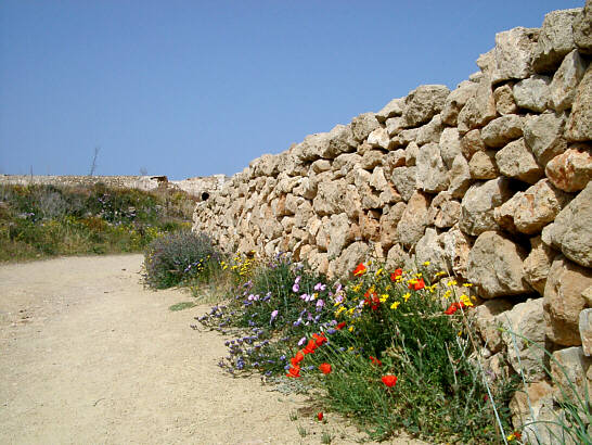 From the old Paphos in Cyprus