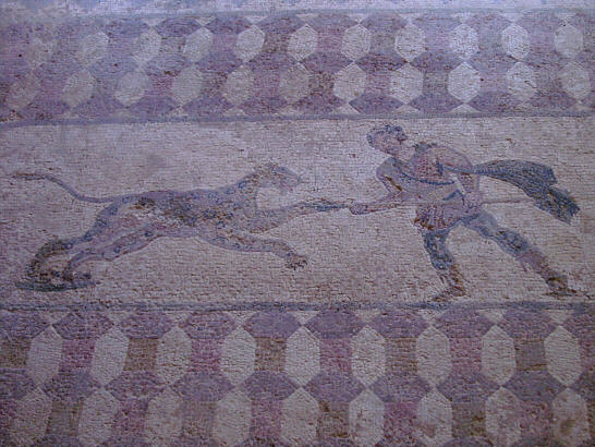 Floor mosaic in the antique Paphos in Cyprus.