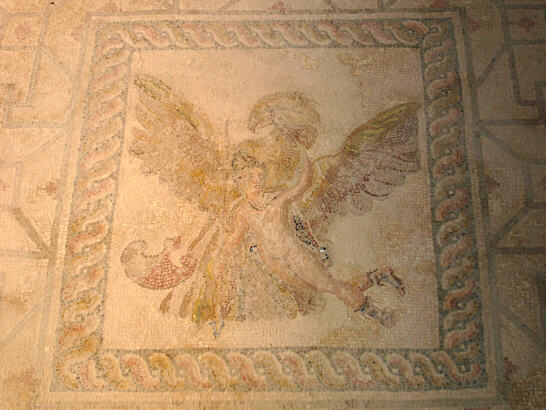 Floor mosaic in Dionysos' House, Paphos