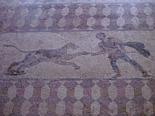  Floor mosaic (hunting scene) in Dionysus' house in Paphos.