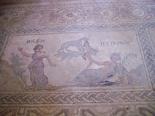 Gulvmosaik i Dionysos' hus i Paphos