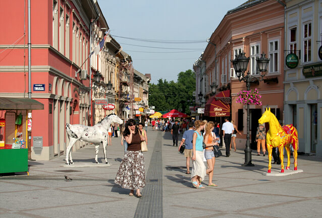 G&aring;gade med hesteskulpturer i Novi Sad