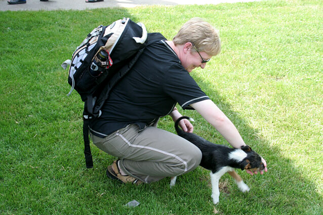 Serbisk hundehvalp og Helle