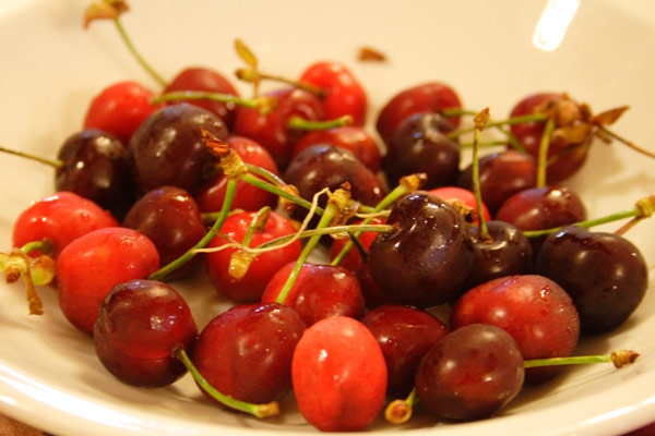 Sicilianske kirseb�r