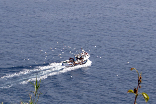 Fiskerb&aring;d set fra Castello Aragonese p&aring; Ischia
