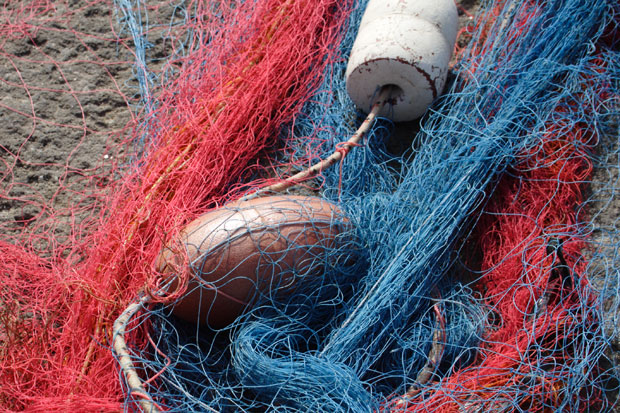 Fiskenet i Sant'Angelo p&aring; Ischia