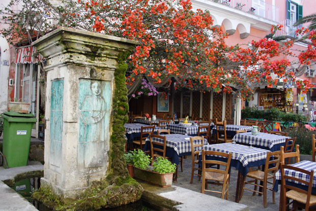 Osteria med blomstrende pergola