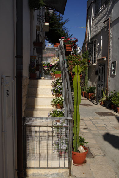 Trappe med blomster i Polignano a Mare