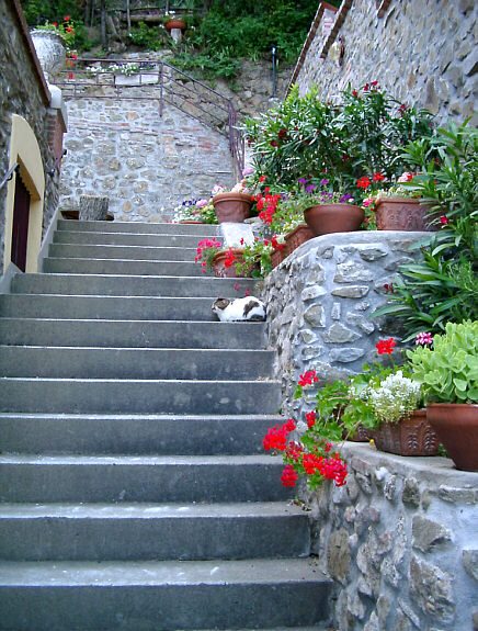 Fra Montecatini Alto