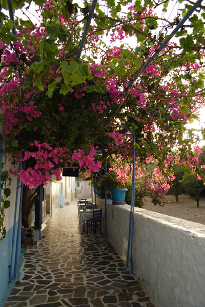 Gade med blomster p&aring; Telendos