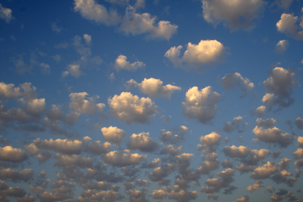Skytotter