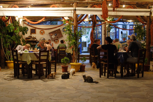 Restaurant Zorbas in Telendos
