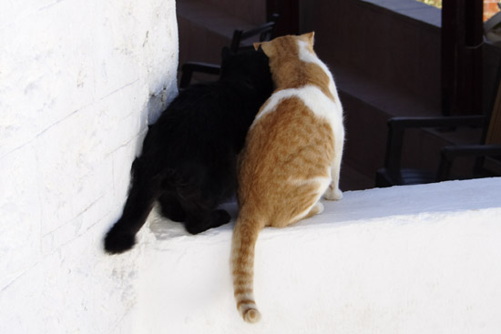 To katte i Pigadia, Karpathos