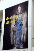 Meet the vikings