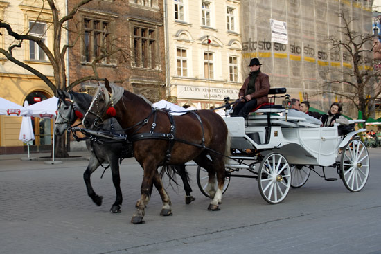 Horse-drawn carriage in Krakow.