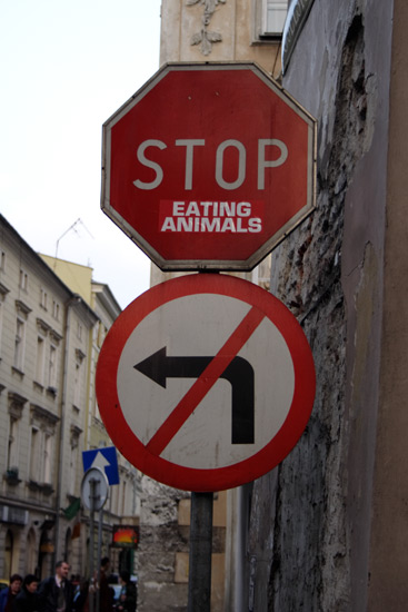 Sign in Krakow.