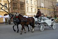 Carriage with tourists.