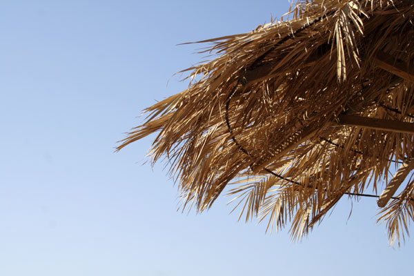 Gr�sk parasol