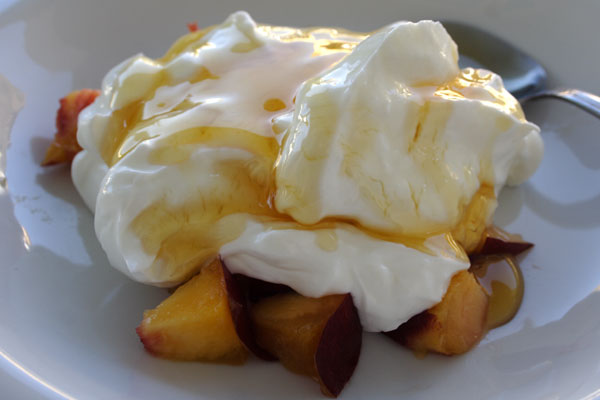 Gr�sk yoghurt med honning og frugt