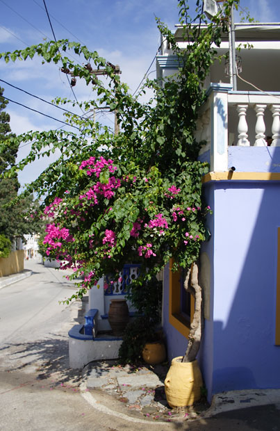 Hus med blomster i Platanos