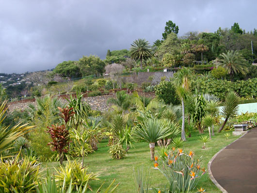 Fra Botanisk Have i Funchal.