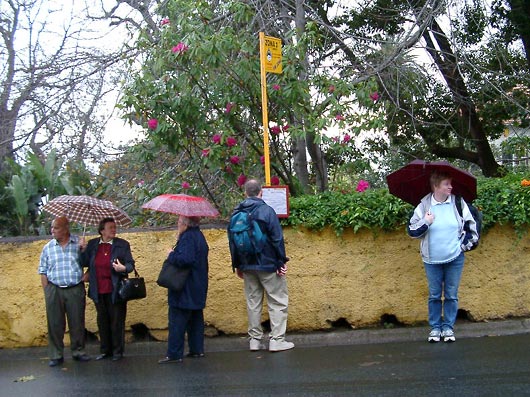 Vi venter p&aring; bussen ved Botanisk Have i Funchal.