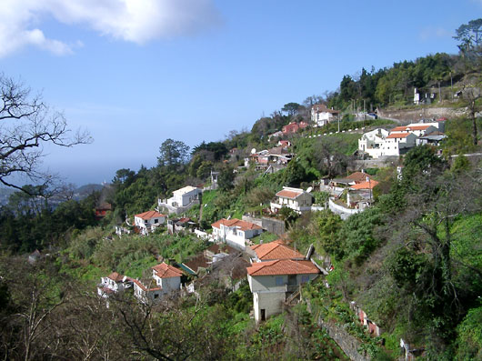 Monte