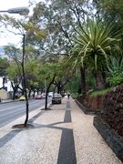 Avenida do Infante in Funchal