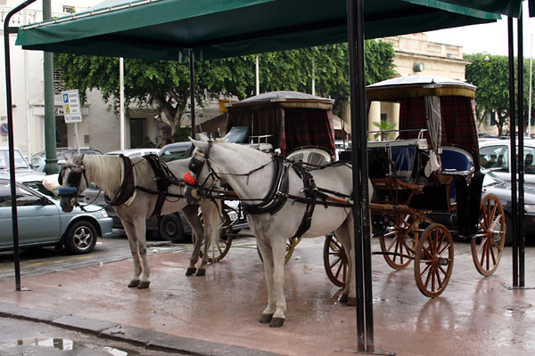 Horse carriages in Valletta