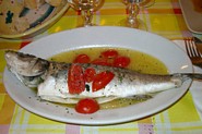 Havaborre