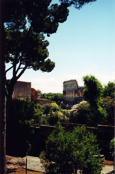 Colosseum set fra Palatinerh&oslash;jen