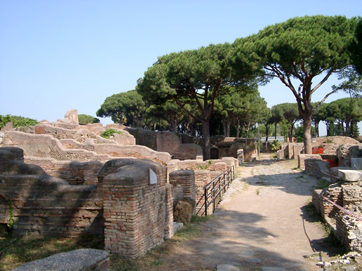 Ruiner og pinjetr&aelig;er i Ostia Antica
