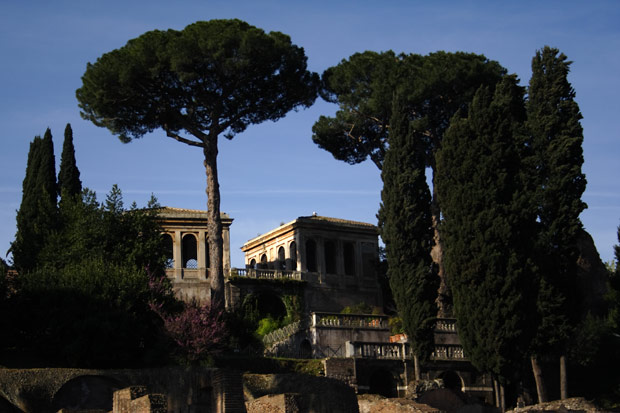 Farnese pavillonerne set fra Forum Romanum