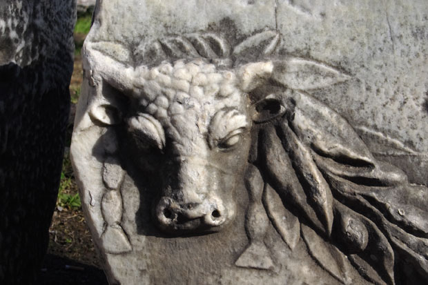 Stump af frise med oksehoved p&aring; Forum Romanum