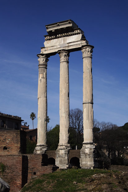 S&oslash;jler p&aring; Forum Romanum