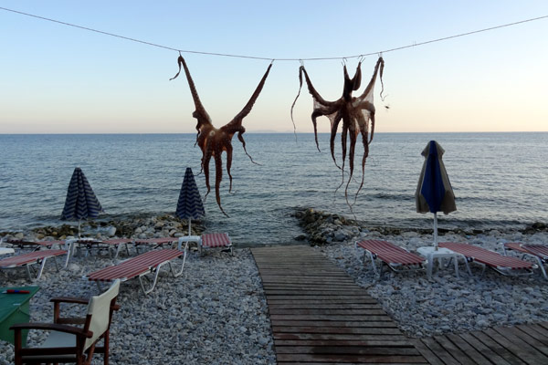 Bl&aelig;ksprutter h&aelig;nger til m&oslash;rning p&aring; Samos