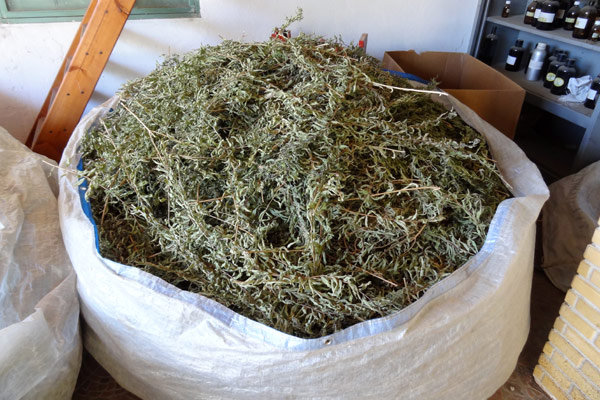 S&aelig;k med t&oslash;rrede krydderurter