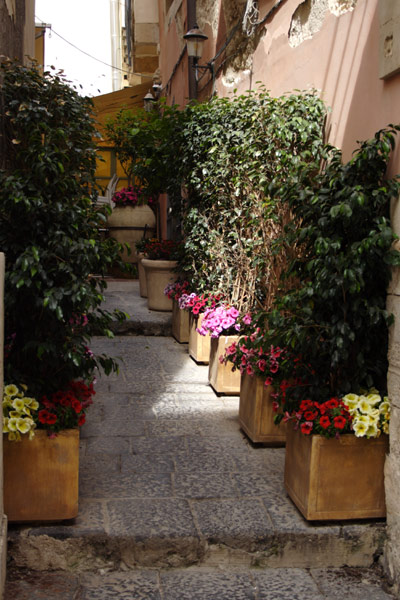 Blomsterkummer i Siracusa