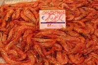 Rejer p� markedet