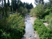 Halvt udt&oslash;rret vandl&oslash;b