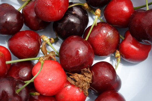 Sicilianske kirseb&aelig;r