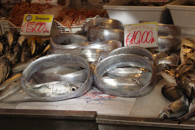 Spatole - fisk p&aring; markedet i Ortigia