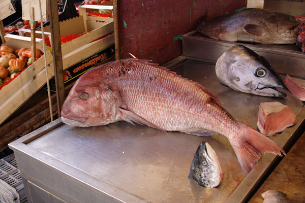 Fisk p&aring; markedet i Siracusa