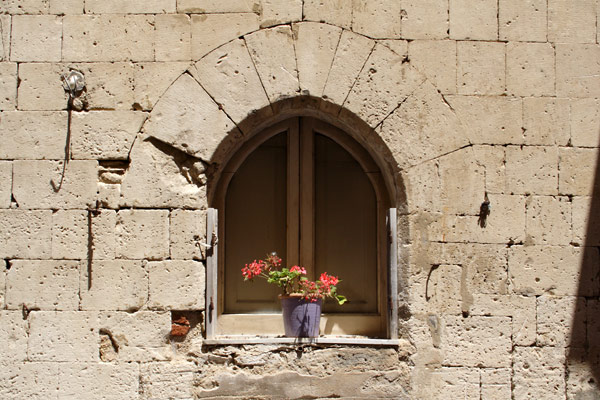 Skodder med blomst i Siracusa